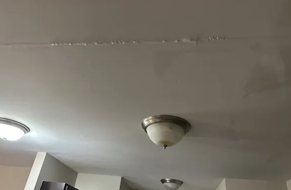 Ceiling Mold Removal in Daytona Beach, FL
