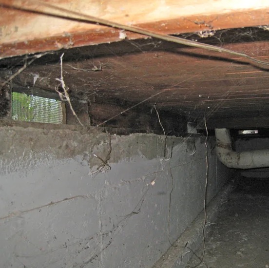 Crawl Space Water Damage Cleanup in Daytona Beach, FL