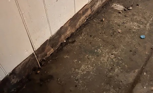 Sewage Backup Cleanup in Daytona Beach, FL